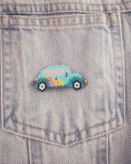 Pin Evolución