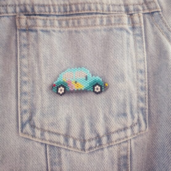 Pin Evolución